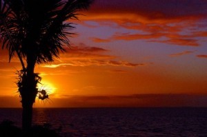 3.2_Florida_Slide_8_700x465