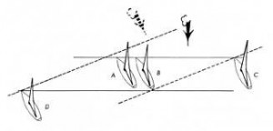 wind shifts and equal position lines