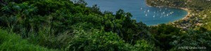 BVI-John-Harris-photo