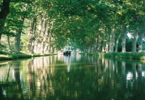 Canal-du-Midi-Cruise-trees-small