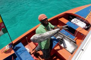 St. Lucia-Grenada and Windward Islands Flotilla Holidays