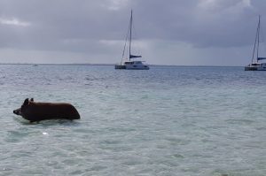 2016 Colgate Offshore Sailing Adventure in Abacos, Bahamas