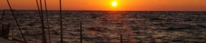 Sunrise-OPM-12-16_header_1920x400