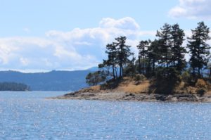 Gulf Islands Flotilla Cruise Diary