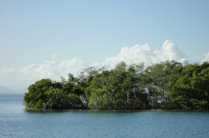 Belize Flotilla Cruise