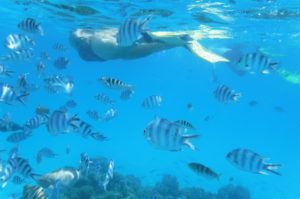 Colgate Sailing Adventurers Set Sail in Tahiti for a Magical Vacation