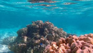 Tahiti Flotilla Cruise