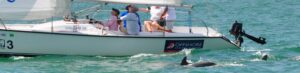 Sailing Lessons and Sailing Rides