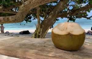The Fascinating Seychelles