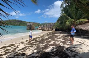 The Fascinating Seychelles