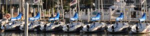 Fleet of Offshore Sailing Monohulls and Catamarans