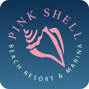 pink shell logo